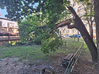 В Рязани дерево упало на детскую площадку