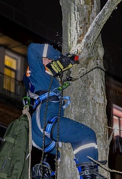 Волонтеры МСО РязГМУ "Salus" сняли с гнилого дерева замерзшего кота