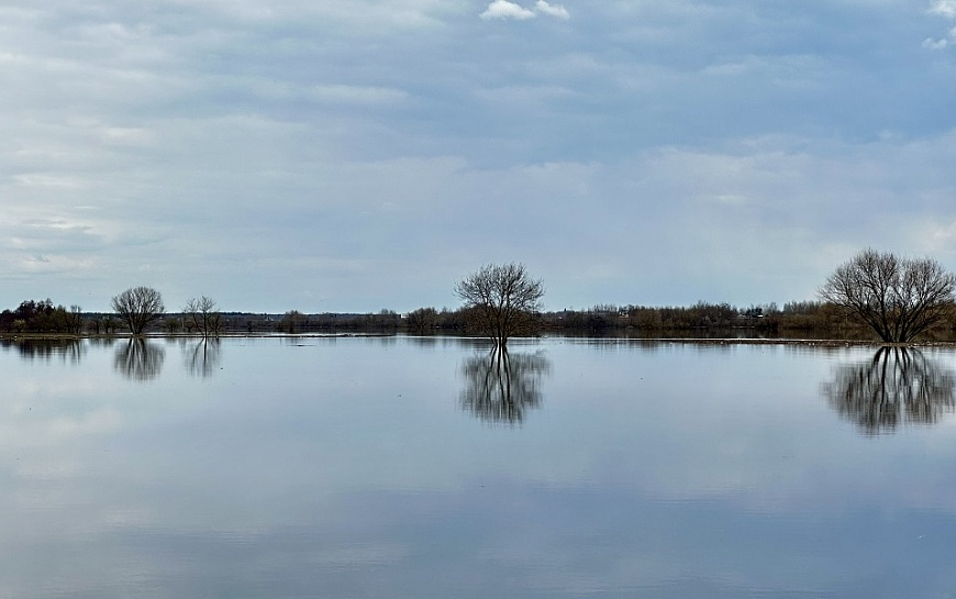 Рязанское море: фото разлива Оки