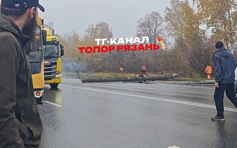 Столб упал и частично перегородил Московское шоссе в Рязани Столб упал и частично перегородил Московское шоссе в Рязани