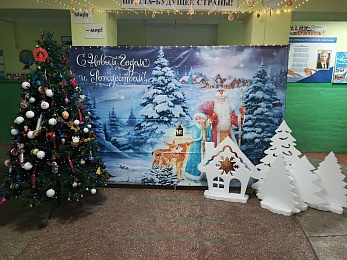 Рязанский «Народный фронт» доставил ёлку в запорожскую школу