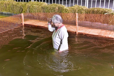 Крещенские купания на 38 иорданях Рязанской области прошли без ЧП