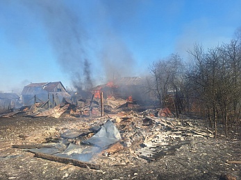 В Спасском районе сгорели два нежилых дома