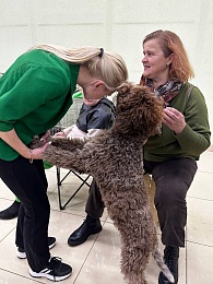 В Рязани проходит выставка собак «Содружество»
