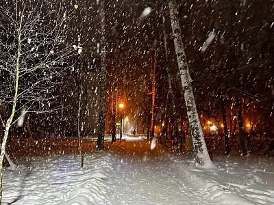 В Рязанской области 8 декабря установится единая температура днём и ночью