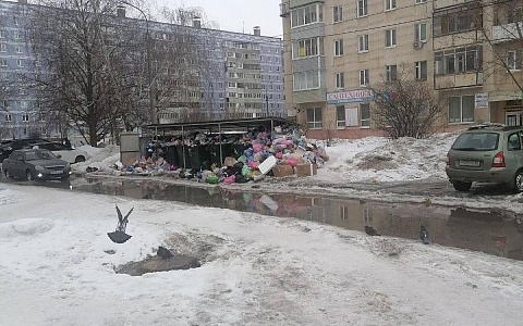 Рязанцы пожаловались на невывоз мусора в Канищеве