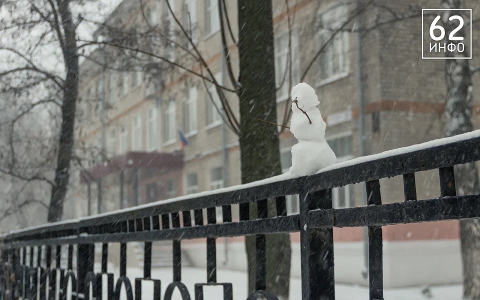 В Рязанской области резкое похолодание 14 марта сопроводят снег и ветер - 62ИНФО