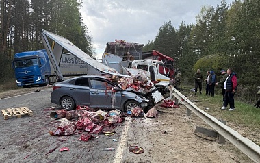 Под Клепиками погиб водитель "Камаза" и пострадали четверо из-за массового ДТП