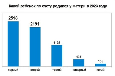 В 2023 году рождаемость уменьшилась на 6% 