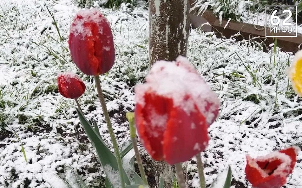 На Рязанщине 11 апреля сохранятся морозы -6°С со снегом - 62ИНФО