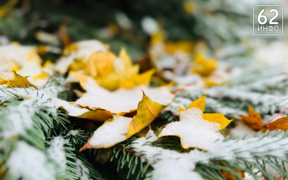 Рязанцев ждут температурные качели в 24 градуса с заморозками 15 сентября - 62ИНФО Рязанцев ждут температурные качели в 24 градуса с заморозками 15 сентября - 62ИНФО