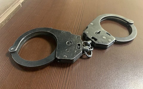 В Рязанской области парень угнал авто, желая доехать до дома