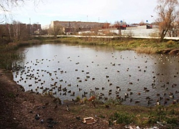 Рязанцам предлагают выбрать парк для благоустройства в 2023 году  