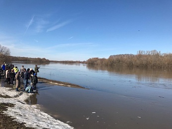 В рязанском Лесопарке прогнили новые помосты