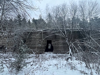 В рязанском лесу сфотографировали заброшки и лестницу в никуда - 62ИНФО В рязанском лесу сфотографировали заброшки и лестницу в никуда