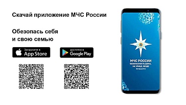 Рязанцам предлагают скачать приложение МЧС для получения оперативной информации