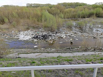 Рязанцы рассказали об огромной свалке вдоль Северной окружной дороги