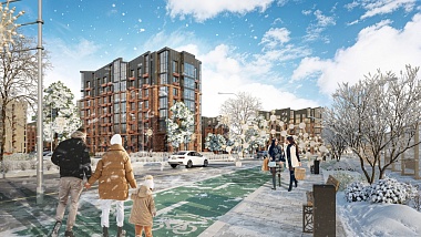 Чёрные лебеди начнут жить в Борковском затоне