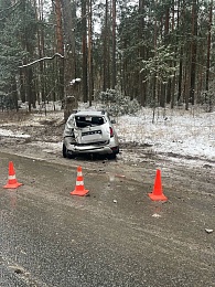 Пассажир скончалась в столкновении иномарки в дерево в Клепиковском районе