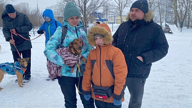 В Рязани прошли выступления домашних питомцев 