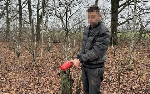 В Скопинском районе тамбовчанина осудили на 9 лет за попытку сбыта наркотиков