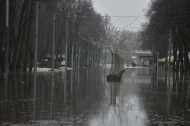 Губернатор Павел Малков осмотрел подтопления в рязанском Лесопарке и Борках 