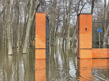 Фоторепортаж: рязанцы покоряют затопленный Лесопарк на лодках и сап-бордах - 62ИНФО Фоторепортаж: рязанцы покоряют затопленный Лесопарк на лодках и сап-бордах