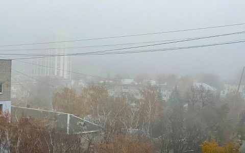 Туман накроет Рязанскую область вплоть до утра 27 ноября