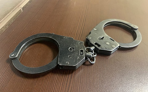 В Рязанском районе раскрыли кражу ювелирных изделий на 50 тысяч