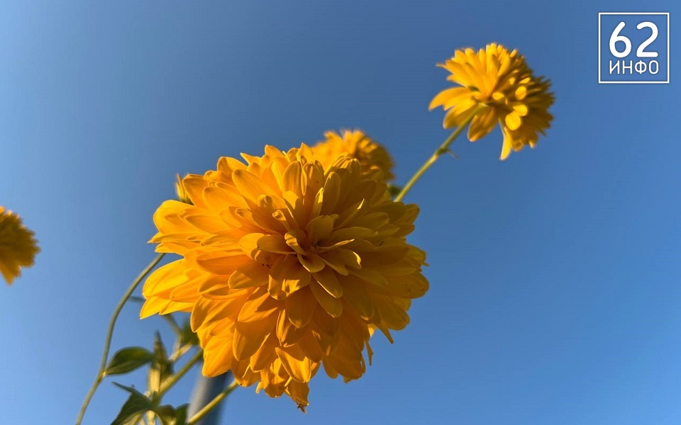 В Рязанской области 12 сентября ждут от +5 до +20°С без дождя - 62ИНФО