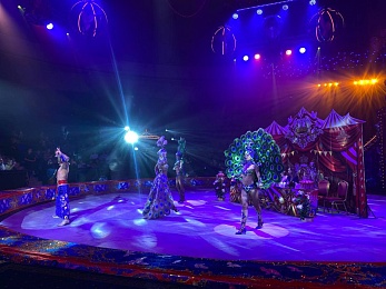 Шоу Гии Эрадзе «5 континентов» готовится к премьере в Рязанском цирке