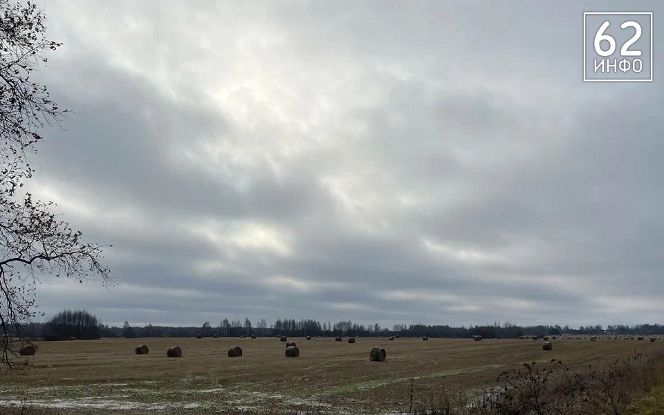 Погода обещает рязанцам хмарь и хмурь - 62ИНФО