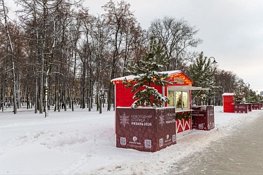 Митрополит Марк сделал атмосферные фото Новогодней столицы