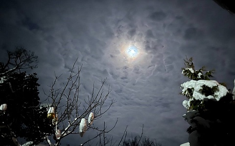 В Рязанской области сфотографировали "волчью" луну