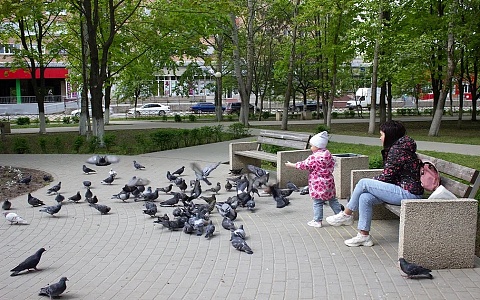 В Рязани начался прием заявок на благоустройство