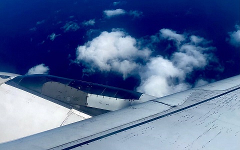 Из Рязанской области депортировали четырех мигрантов