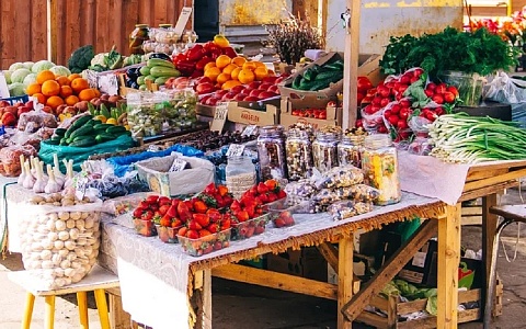 В рязанских баклажанах выявили превышение пестицидов