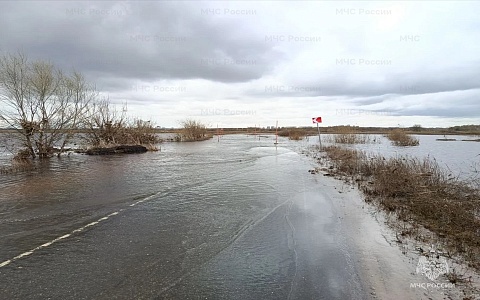 Дорогу на Шумашь вновь подтопило