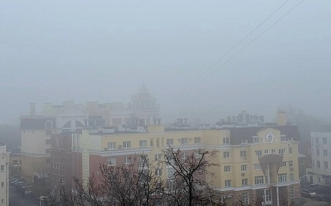 Туман в Рязанской области сохранится до утра 3 апреля