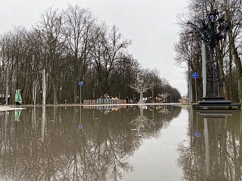 Половодье затопило Лесопарк в Рязани