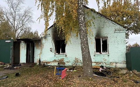 В Скопине СК возбудил уголовное дело после гибели женщины и девочки в пожаре