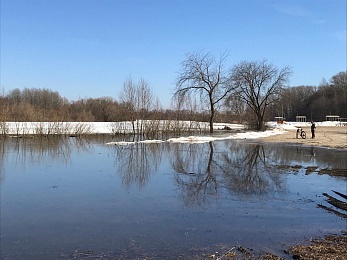 В рязанском Лесопарке прогнили новые помосты