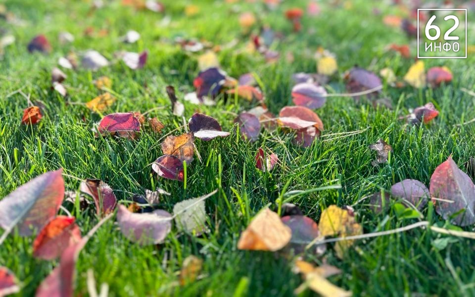 В Рязанской области температура ночью опустится до + 7 градусов - 62ИНФО