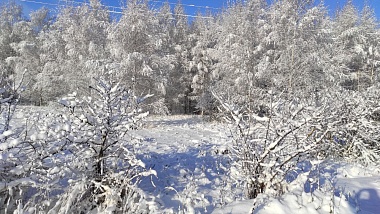 Погода устроила сюрприз востоку Рязанской области в Старый Новый год