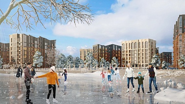 Чёрные лебеди начнут жить в Борковском затоне