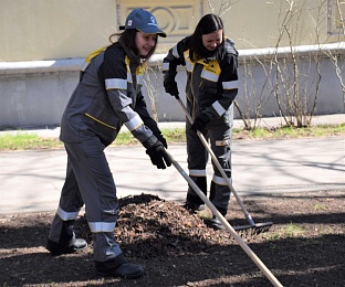Рязанская НПК провела субботник на улице Полетаева в честь 80-летия Победы