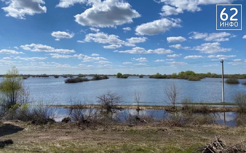 Лесопарк готовится встретить большую воду - 62ИНФО