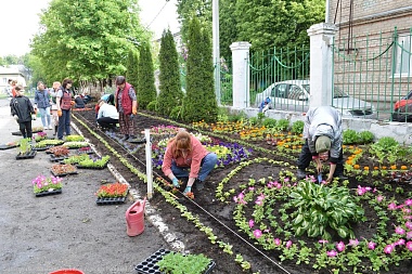 В рязанской школе № 14 перед последним звонком высадили 14 тысяч растений - 62ИНФО В рязанской школе № 14 перед последним звонком высадили 14 тысяч растений