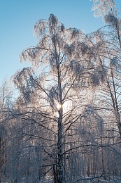 Рязанская епархия показала фотографии митрополита Марка - 62ИНФО Рязанская епархия показала фотографии митрополита Марка