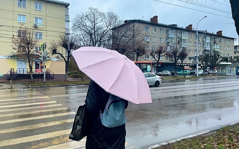 В 6 районах Рязанской области 30 марта возможны дожди